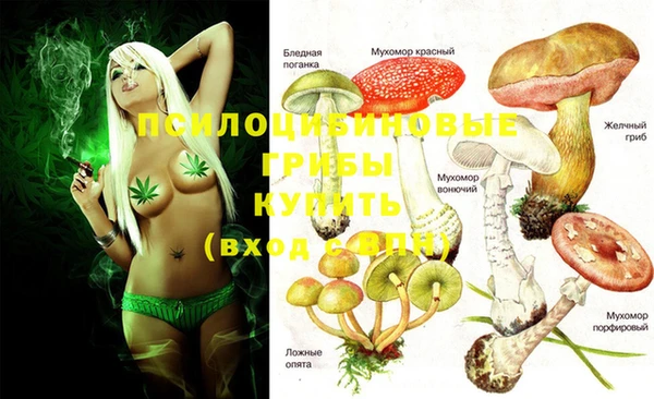 PSILOCYBIN Балахна