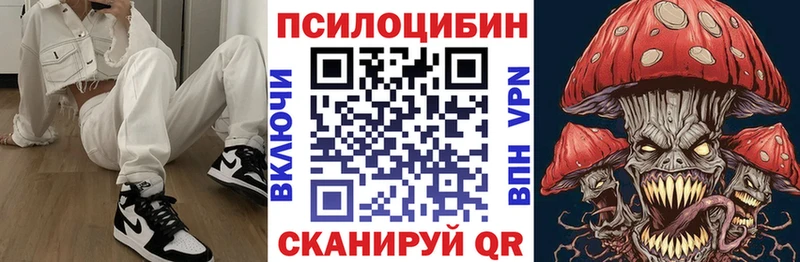 купить закладку  Магас  Галлюциногенные грибы мухоморы 